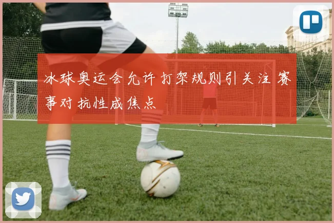 冰球奥运会允许打架规则引关注 赛事对抗性成焦点