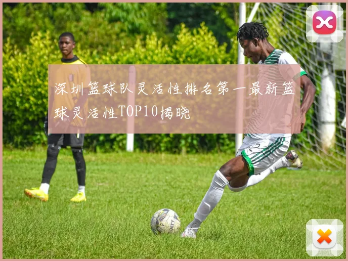 深圳篮球队灵活性排名第一最新篮球灵活性TOP10揭晓